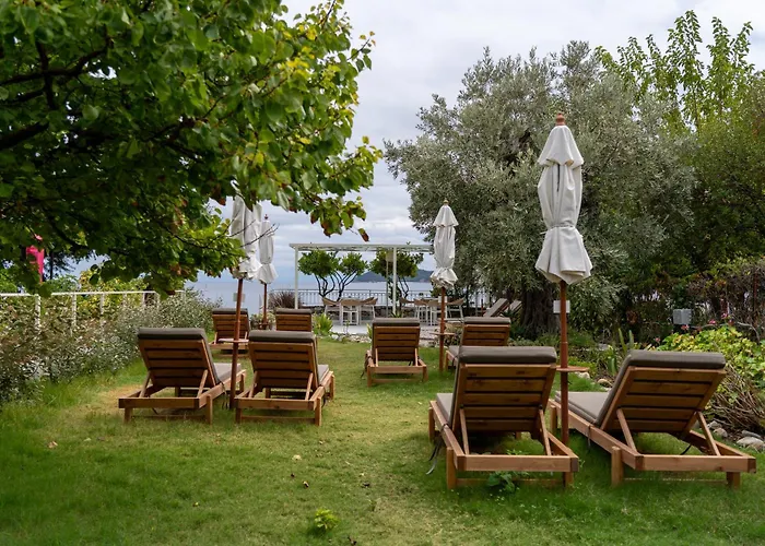 Roula's House On The